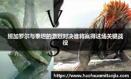 班加罗尔与泰坦的激烈对决谁将赢得这场关键战役